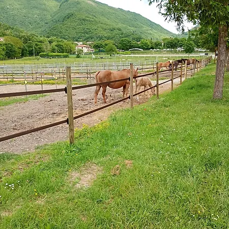Casa vacanze La Dimora Dei Ricordi
