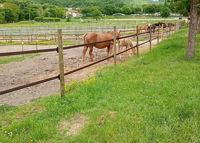 Holiday home La Dimora Dei Ricordi